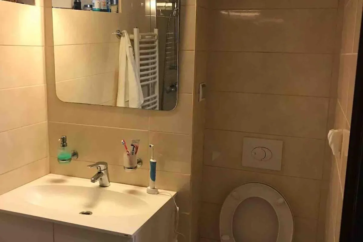 Cozy Apartament In City Centre By The Park Bucharest