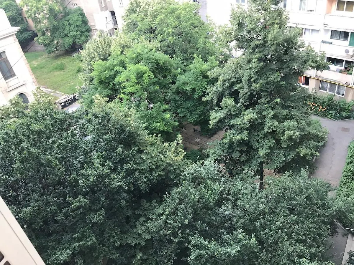 Cozy Apartament In City Centre By The Park Bucharest Apartment